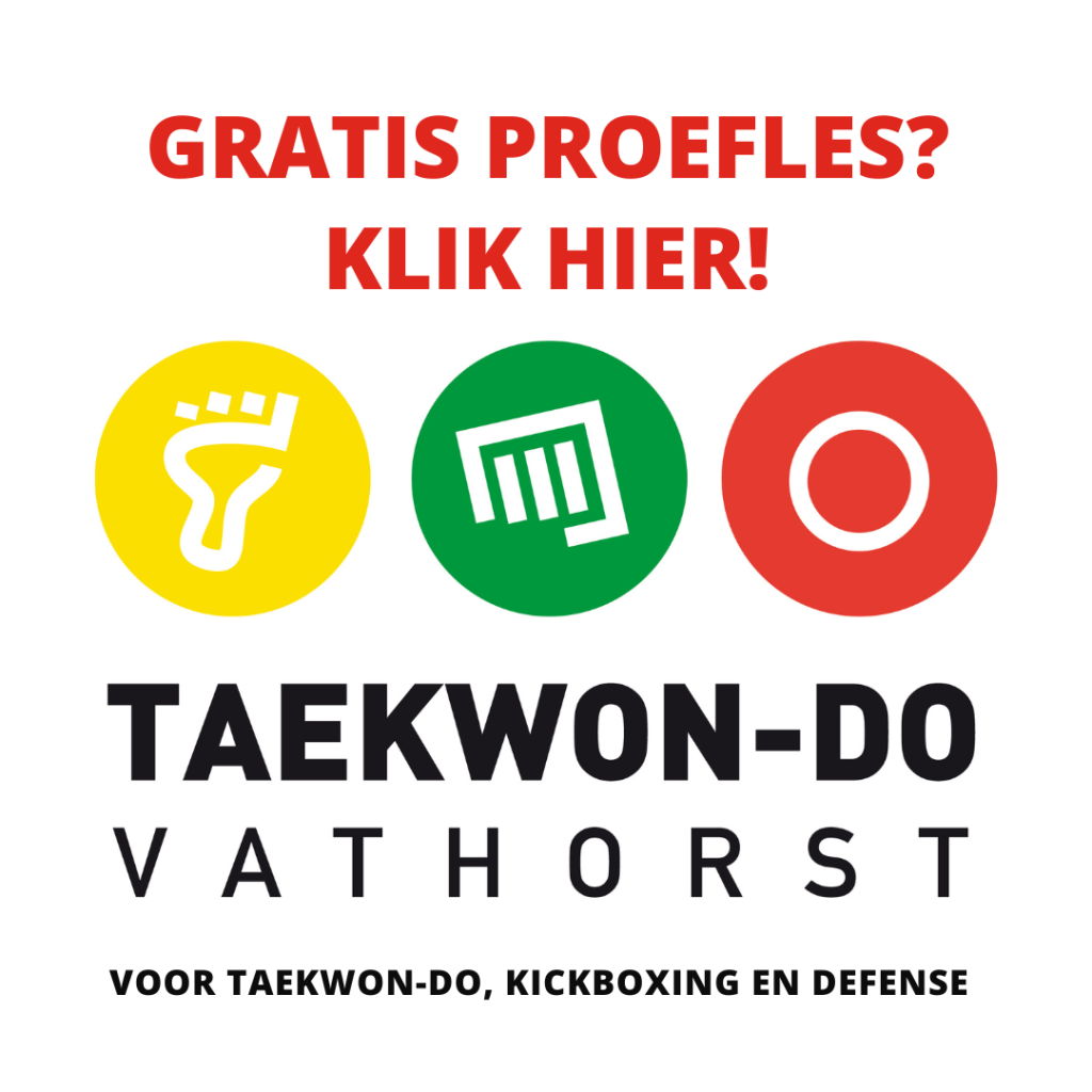 Proefles-Taekwon-Do-Vathorst